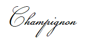 Champignon(仅支持英文) 预览