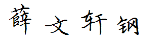 薛文轩钢笔楷体 预览