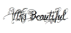 Vtks Beautiful(仅支持英文) 预览