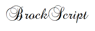 BrockScript(仅支持英文) 预览