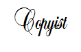 Copyist(仅支持英文) 预览