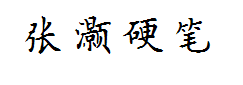张灏硬笔楷书 预览