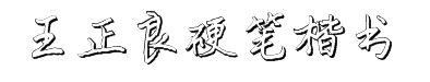 王正良硬笔楷书立体简 预览